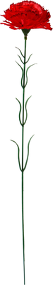 Искусственные цветы Sima-Land Гвоздика красная с кантом / 183277