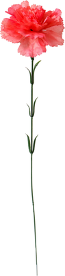 Искусственные цветы Sima-Land Гвоздика экстра галант / 10104945 (коралловый)