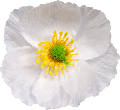 Искусственный цветок Sima-Land Рудбекия белая 10709977