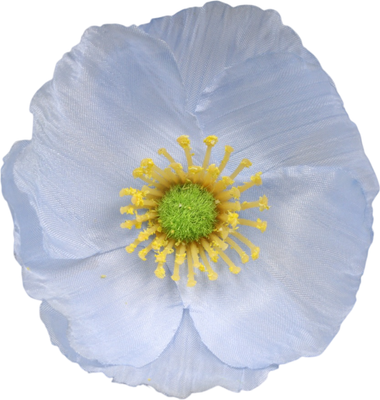 Искусственный цветок Sima-Land Рудбекия голубая 10709983