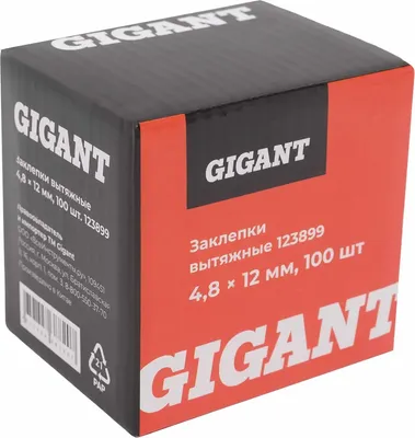 Набор заклепок Gigant 123899 (100шт)