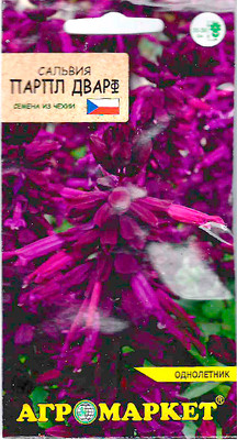 Семена цветов Агромаркет Сальвия Парпл Дварф (10шт)