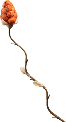 Сухоцвет Sima-Land На бамбуковом стебле 7779908 (коралловый)