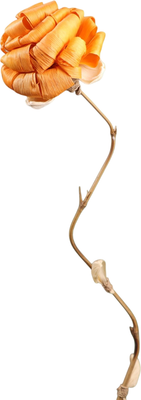Сухоцвет Sima-Land На бамбуковом стебле 7779903 (оранжевый)