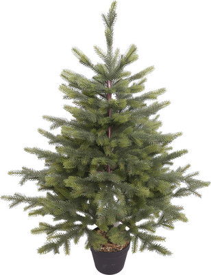 Ель искусственная Winter Fun 26838-90CM
