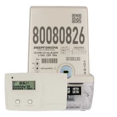 Счетчик электроэнергии электронный Энергомера CE 318 BY C3.146.JR.QUVF (5-100A)