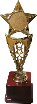 Кубок для награждения ZEZ Sport 24-800 C