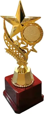 Кубок для награждения ZEZ Sport 24-802 C