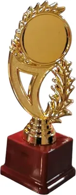 Кубок для награждения ZEZ Sport 24-804 A