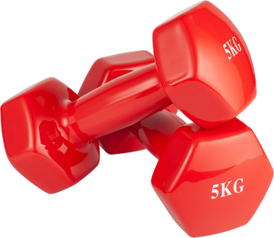 Набор гантелей VictoryFit VF-DV050-2 (5кг, 2шт)