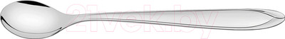 Набор чайных ложек Tramontina Laguna / 66906205