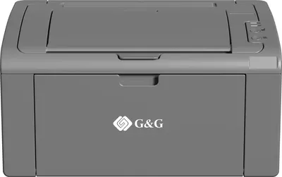 Принтер G&G GP1022W