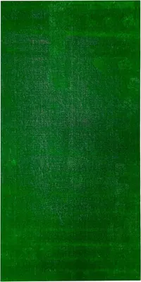 Ковер Витебские ковры 01 Трава Прямоугольник 5s 18С24-ВИ tr 1p (1x2)
