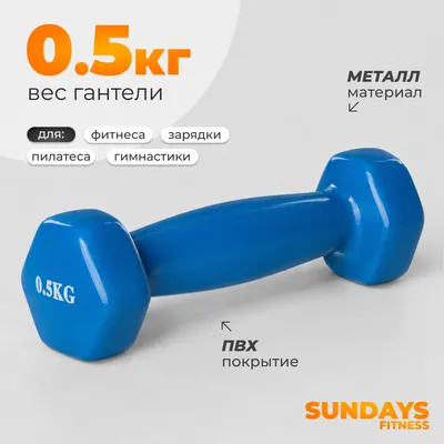 Гантель Sundays Fitness WD1450 (0.5кг, синий)