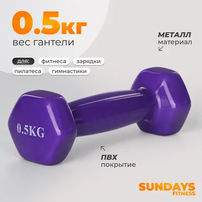 Гантель Sundays Fitness WD1450 (0.5кг, фиолетовый)