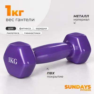 Гантель Sundays Fitness WD1451 (1кг, фиолетовый)