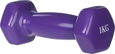 Гантель Sundays Fitness WD1451 (1кг, фиолетовый)