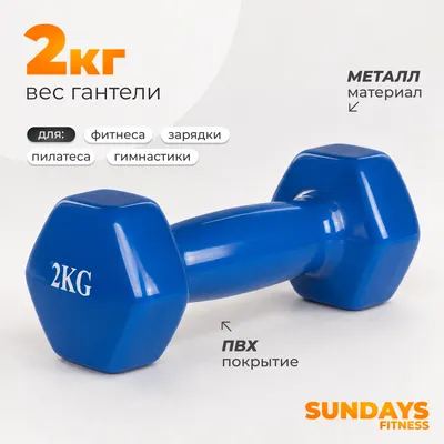Гантель Sundays Fitness WD1452 (2кг, синий)