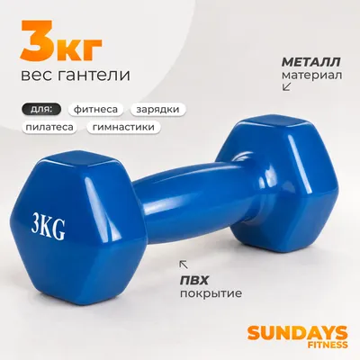 Гантель Sundays Fitness WD1453 (3кг, синий)