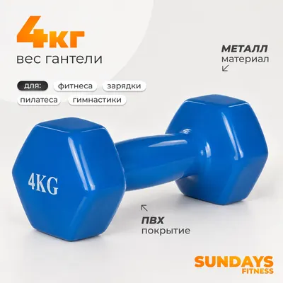 Гантель Sundays Fitness WD1454 (4кг, синий)