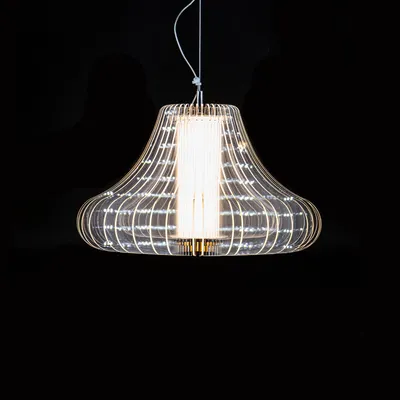 Потолочный светильник L'Arte Luce Mercury L42501.98