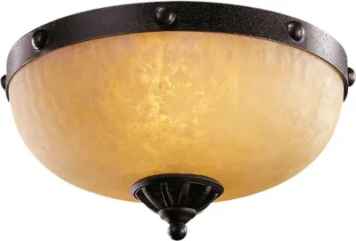 Потолочный светильник L'Arte Luce Fort L50352.46