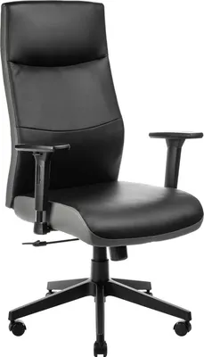 Кресло офисное Mio Tesoro Русси CYE642 (черный)