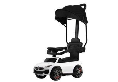 Каталка детская RiverToys Z005ZZ-BP (белый)