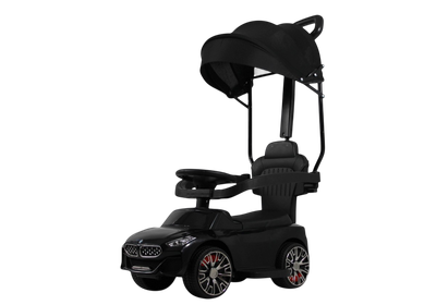 Каталка детская RiverToys Z005ZZ-BP (черный)
