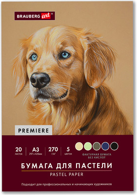 Набор бумаги для рисования Brauberg Art / 117756 (20л)