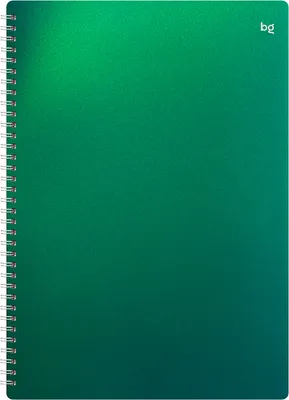 Тетрадь BG Хамелеон / Т4гр80_пл 57817 (80л, зеленый)