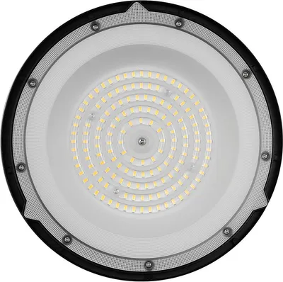 Светильник ЖКХ Camelion HBL-1000-01 / 16390