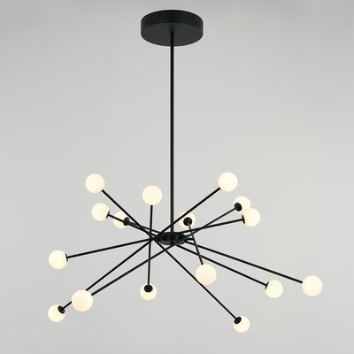 Люстра DeLight Collection MD19001025-16A (черный)