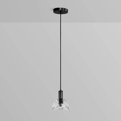 Потолочный светильник DeLight Collection MT8603 (черный)