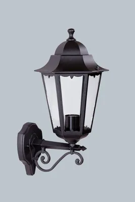 Бра уличное Oasis Light Petersburg M 79801M/02 Bl