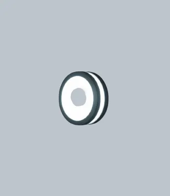 Бра уличное Oasis Light W3172S-3K Gr