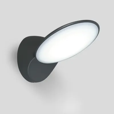 Бра уличное Oasis Light W1896-3K Gr