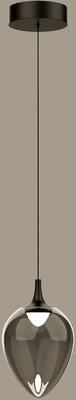 Потолочный светильник DeLight Collection MD24001012-1A (black/smoky)