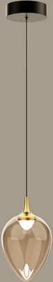 Потолочный светильник DeLight Collection MD24001012-1A (brass/champagne)