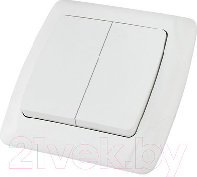 Выключатель TDM Онега SQ1805-0002 (белый)