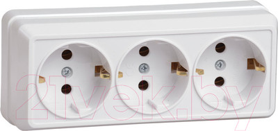 Розетка IEK Октава ERO31-K01-16-DC (белый)