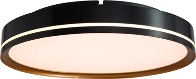 Потолочный светильник DeLight Collection C0527-400A (black/gold)