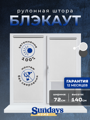 Рулонная штора Sundays Home LM 167-01 72x140 (белый)
