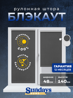Рулонная штора Sundays Home LM 167-07 48х140 (темно-серый)