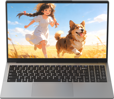 Ноутбук ZEON Herobox S 15.6/4425Y/16/512 Windows 11 Pro (Gray)