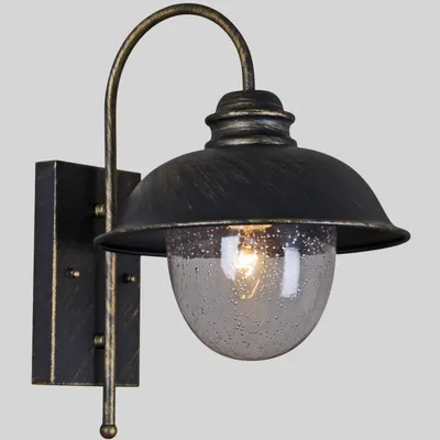 Бра уличное Reluce 08300-9.2-001SJ BKG