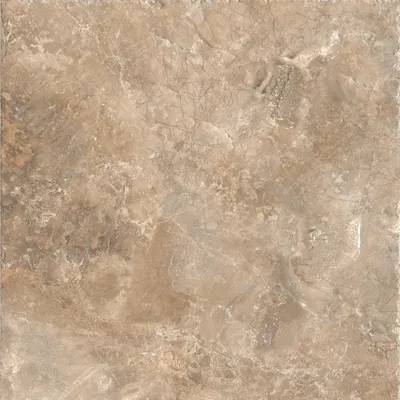 Плитка ProGres Треви NR0411K (600x600, коричневый)
