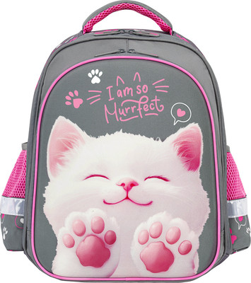 Школьный рюкзак Brauberg Standard. Purr Cat / 274427