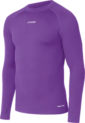 Лонгслив спортивный Jogel Camp 2 PerFormDRY Baselayer Top Warm (фиолетовый P3, S)