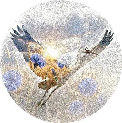 Коврик Витебские ковры 51 12С26-ВИ/П p3552 a1k (0.5x0.5)